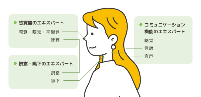 首から上の図